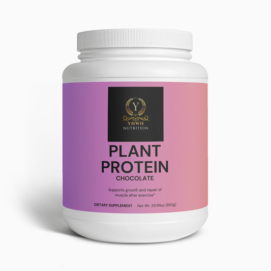 Plant Protein (Chocolate)